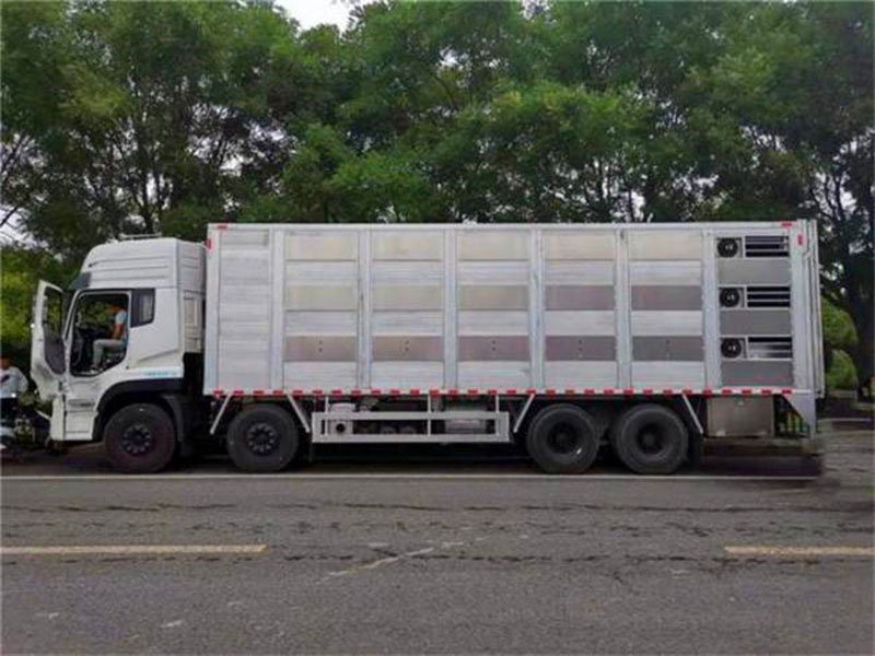 铝合金猪苗运输车价格-铝合金运猪车报价